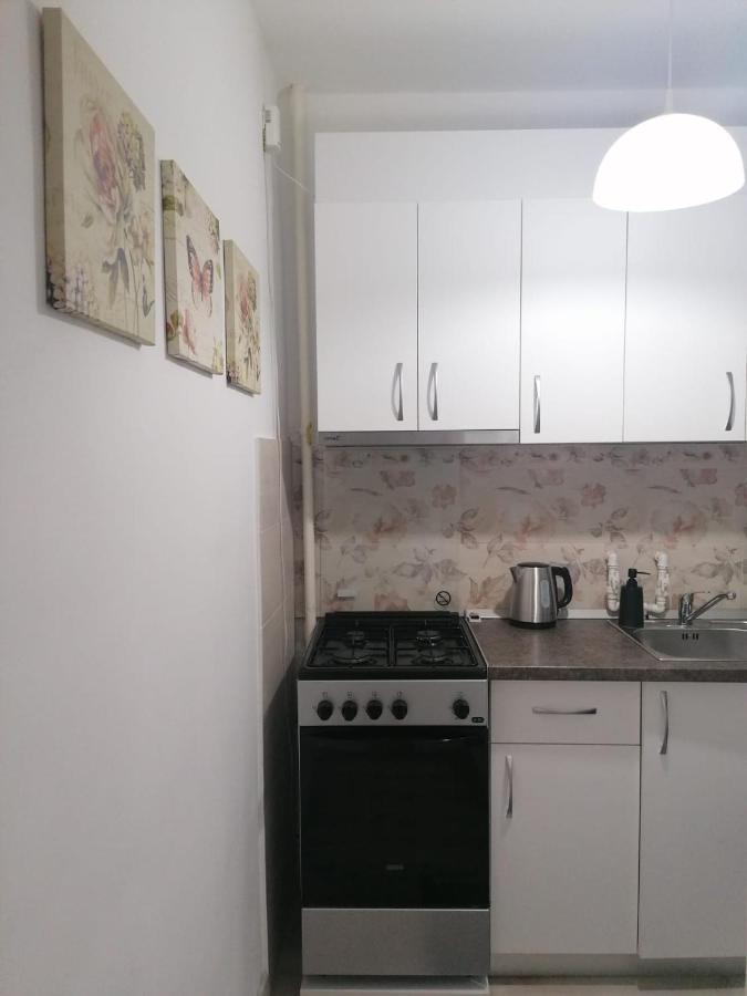 Laroka House Cosy And Modern Apartment Universitate-City Centre Bucureşti Eksteriør bilde